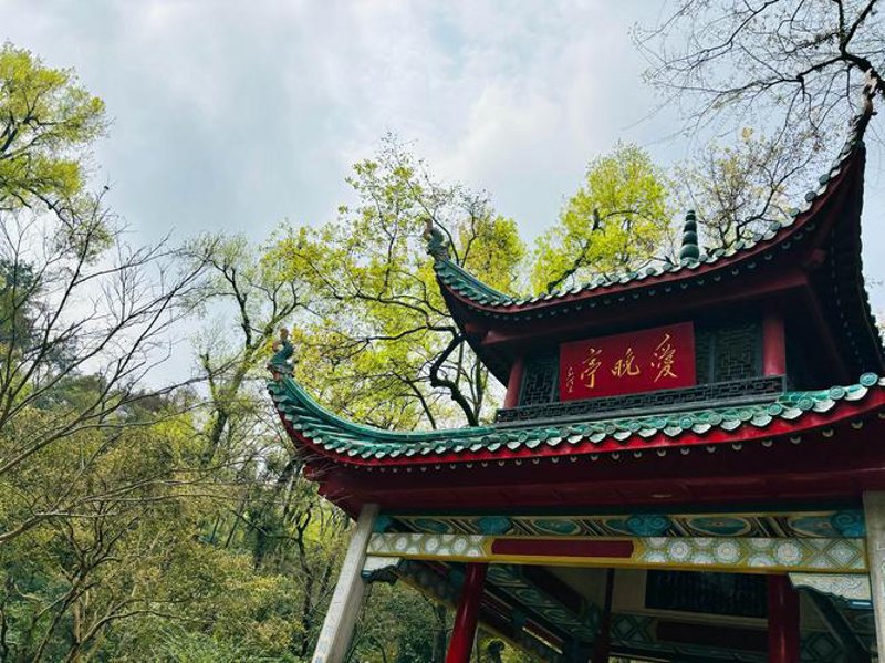 探秘定制游：个性化的旅行艺术
